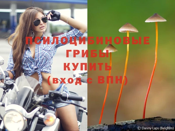 экстази Арсеньев